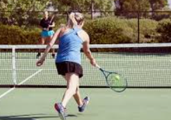 การดูสถิติการแข่งขันเทนนิส ใน ufabet เพื่อเพิ่มโอกาสชนะเดิมพัน